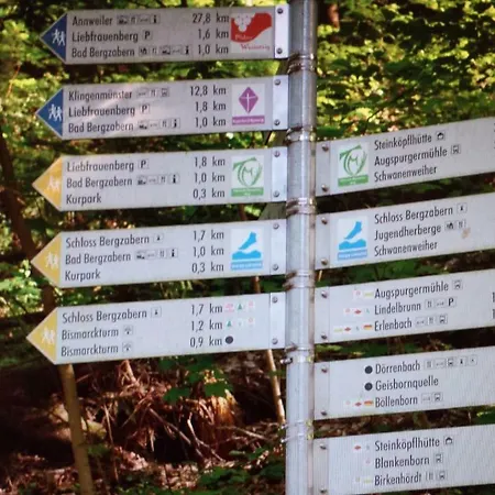 Ferienwohnung Berger Kurparkresidenz Bad Bergzabern Buitenkant foto